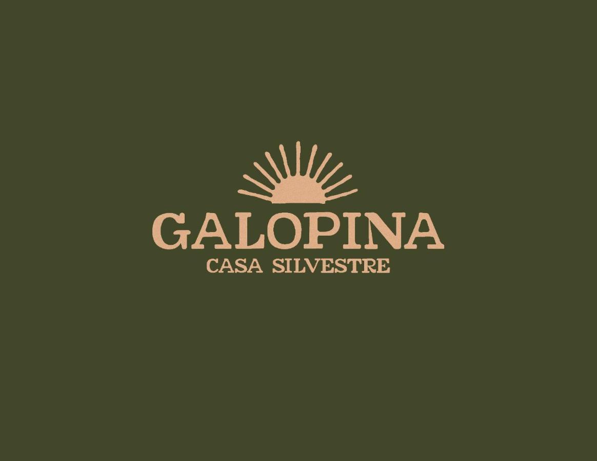 לינה וארוחת בוקר Seye Galopina מראה חיצוני תמונה